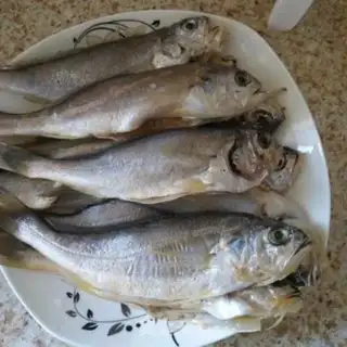 Make Jealousy yellowfish step 1