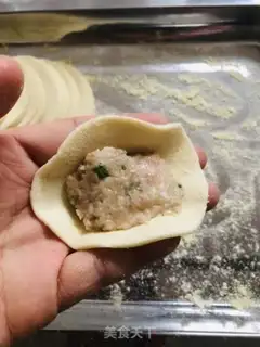 Make A lotta meat dumpling step 5