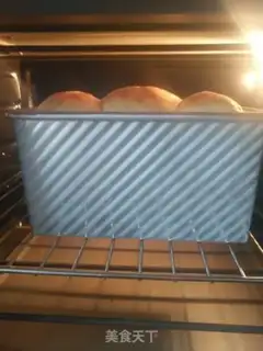 Make Japanese cabbage step 1
