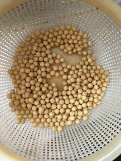 Make Red dates, soybeans step 0
