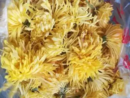 Make A chrysanthemum step 0