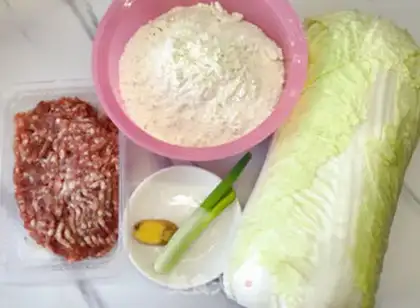 Make Pork dumplings step 0