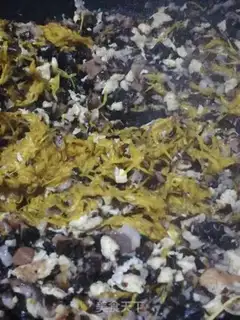 Make A chrysanthemum step 8