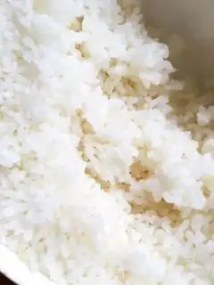 Make Curry and curry step 0