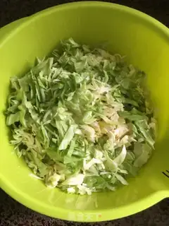 Make Spring rolls step 4