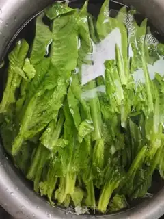 Make Pelican folate step 0