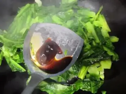 Make Pelican folate step 5