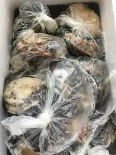 Make The chicken soup from the Chen Pi Abalone Mountain step 0