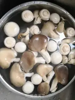 Make Chicken soup for mushroom fans step 6