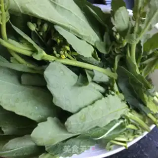 Make Garlic moss step 0