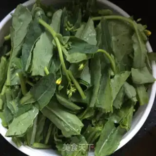 Make Garlic moss step 2