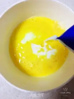 Make Yogurt step 3