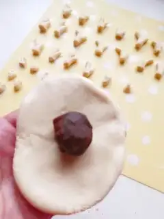 Make Moose bouquet step 15