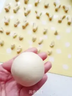 Make Moose bouquet step 16