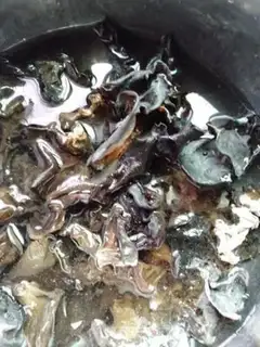 Make Molybone step 1
