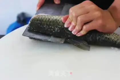 Make Pillfish step 1