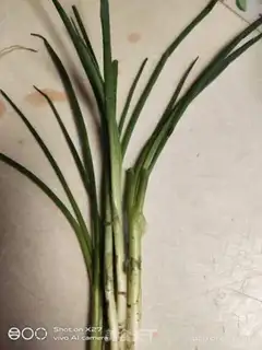 Make Onion bean petal yellowfish step 1