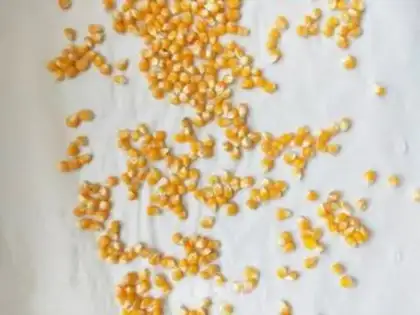 Make Popcorn step 0