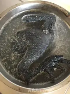 Make The party