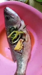 Make Red-hot bass step 1