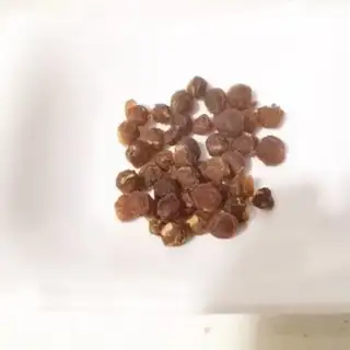Make Cinnamon bouquet soup step 1