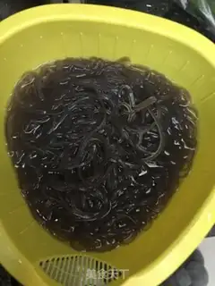 Make Scrambled potato powder step 1
