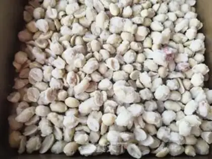 Make Sugar peanuts step 10