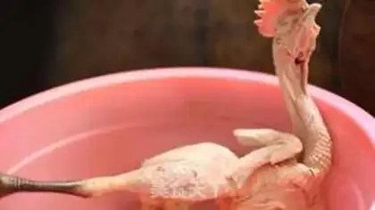 Make Roast chicken step 1
