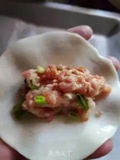 Make Fresh pot sticker step 3
