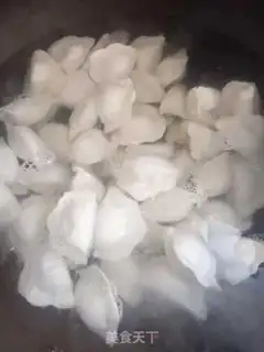 Make Fresh meat dumplings step 3