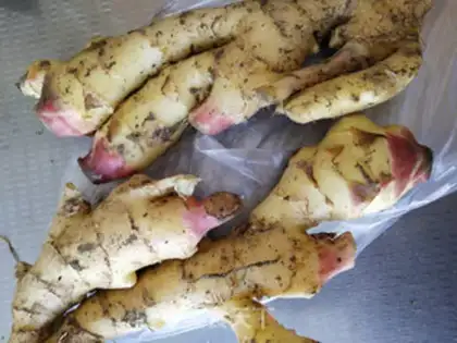 Make Homemade sushi ginger step 0