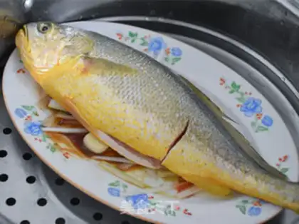 Make Vacuated yellowfish step 4