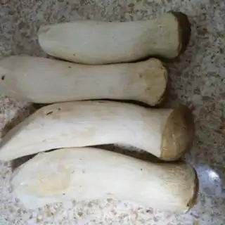 Make Dry apricot mushrooms step 0