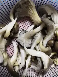 Make Squirtfish mushroom soup step 1
