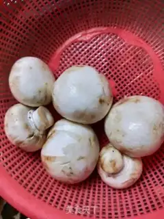 Make Winter Cunt soup step 3