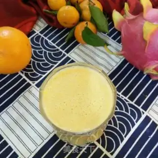 Make Slow orange juice step 5