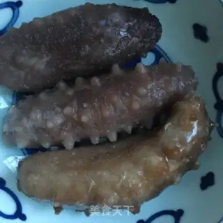 Make The sea cucumber step 0