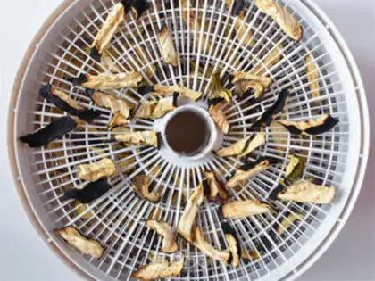 Make Homemade eggplant step 5