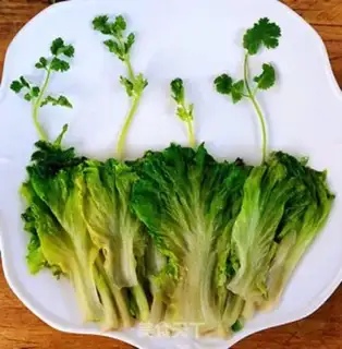 Make Pelican garlic lettuce step 6