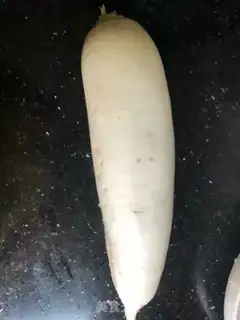 Make Pelican radish step 0