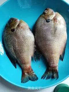Make There are fish in years step 0