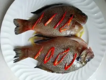 Make There are fish in years step 2