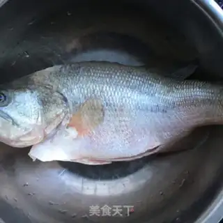 Make Peacock open-screen fish step 0