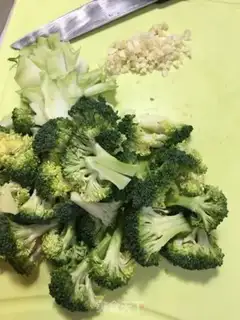 Make Squirt the broccoli step 0