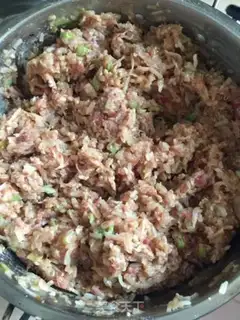 Make Beef carrot dumplings step 4