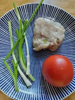 Make Tomatofish step 0
