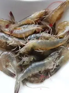 Make Shrimp step 0