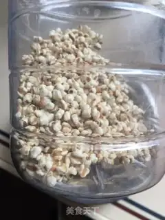 Make Old Dove Soup from the Yellow Rocks step 2