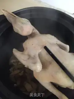 Make Old Dove Soup from the Yellow Rocks step 6