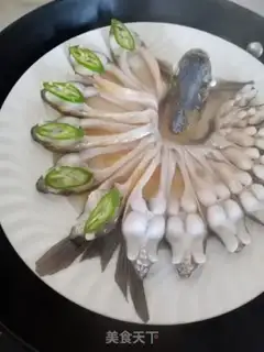 Make Peacock Open step 6